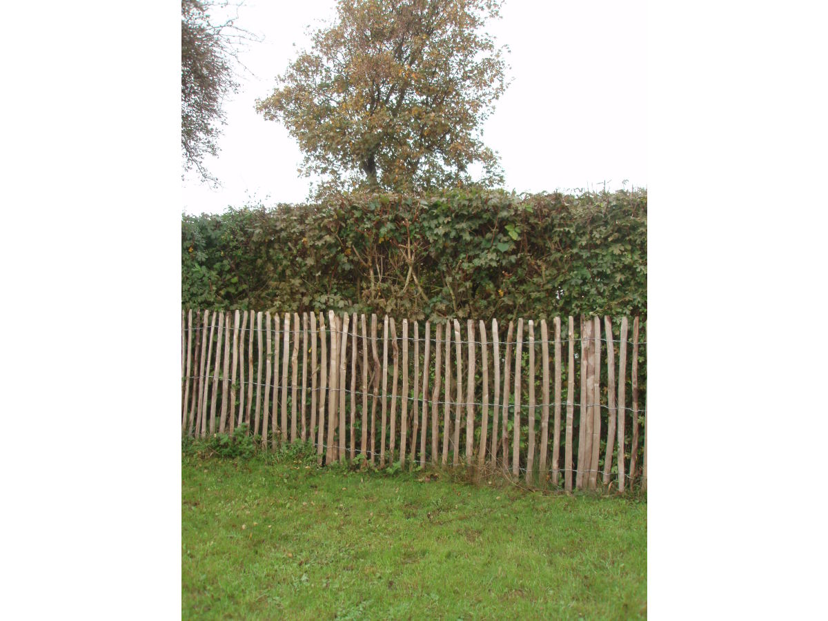 Holiday house Strand-Liebe - Outdoor photo 5