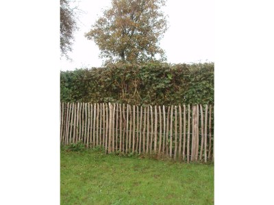 Holiday house Strand-Liebe - Outdoor photo 5