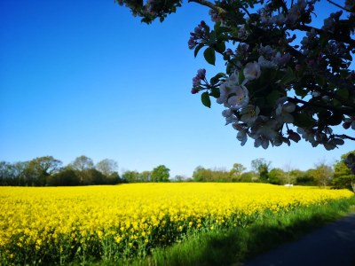 Holiday house Strand-Liebe - Environment photo 25