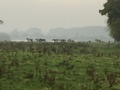 Holiday house Strand-Liebe - Environment photo 30