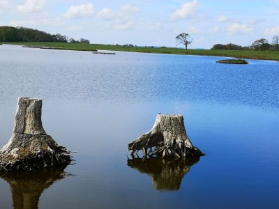 Holiday house Strand-Liebe - Environment photo 31