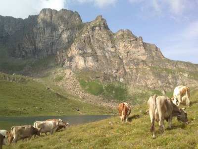 Holiday apartment Apartment Zillertal - Environment photo 34