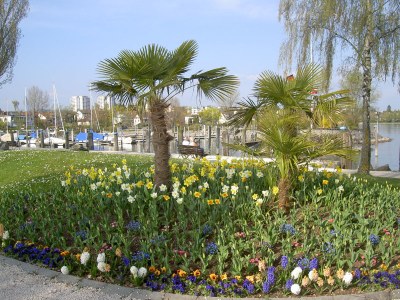 Holiday apartment Osterhage - Environment photo 29