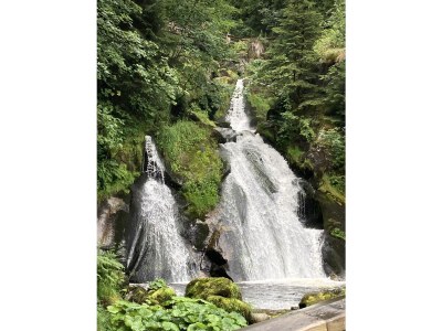 Holiday apartment Osterhage - Environment photo 33