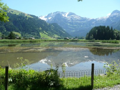 Chalet Chalet am Brüggli - Environment photo 27