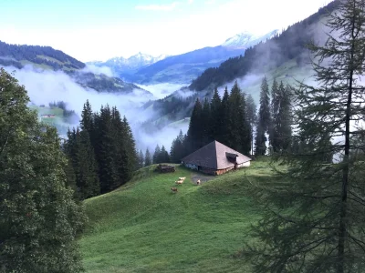 Chalet Chalet am Brüggli - Environment photo 30