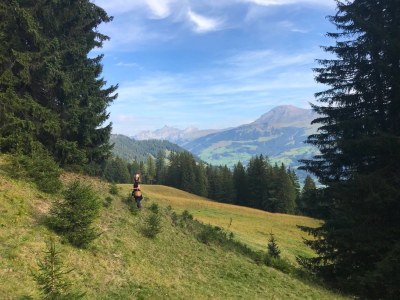 Chalet Chalet am Brüggli - Environment photo 31