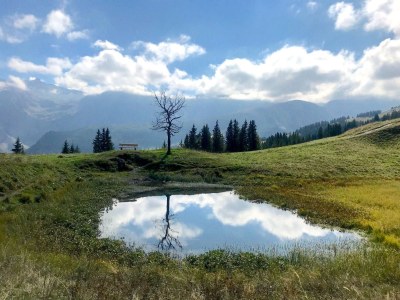 Chalet Chalet am Brüggli - Environment photo 33