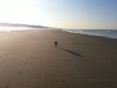 Holiday house De Zilvermeeuw - Environment photo 23